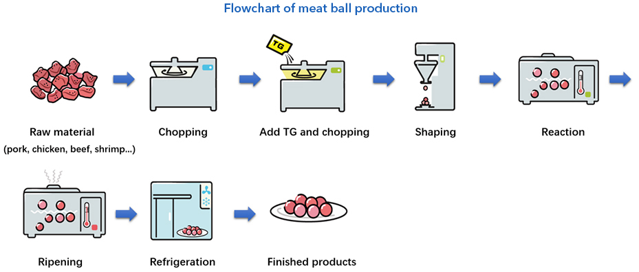 TG - B Standard Method for Determination of Transglutaminase Meatball