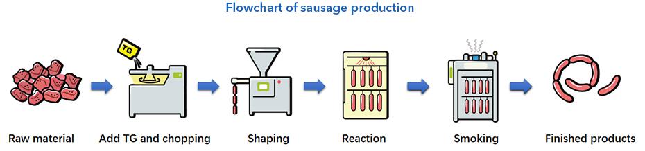 TG - B Standard Method for Determination of Transglutaminase Sausage
