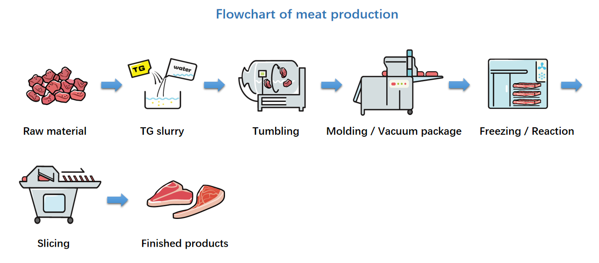 Methods of TG-MT Binding for Meat